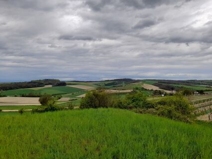 Gemeinde XXL-Runde