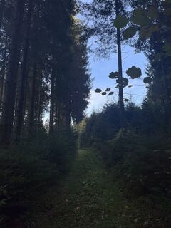 Foto von Martina Potzgruber entlang der Tour