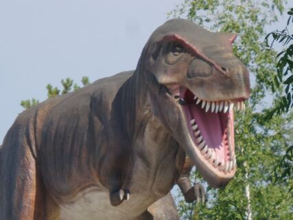 Rezi - Dinopark