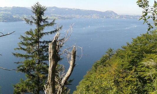 Kl. Schönberg über Wildfütterung