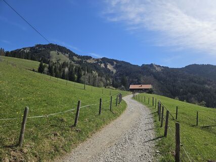 Foto von Flo 122 entlang der Tour