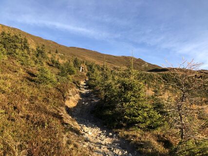 Fotografie z Robert Hofbauer 1 na trase