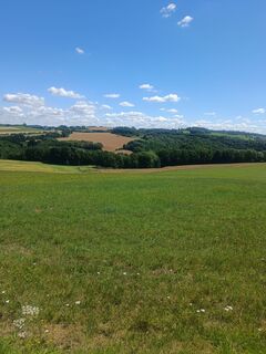 Foto de Germi a lo largo del recorrido