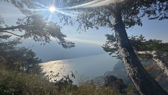 Fotografija s spletne strani ROBERTO BONIOTTI na poti