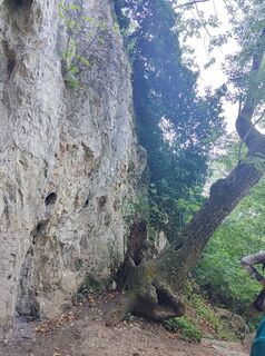 Foto de Edit Szabó 1 a lo largo del recorrido