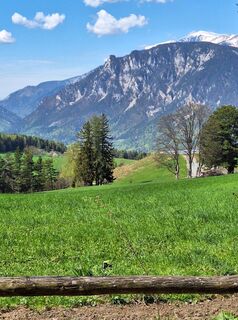 Fotografia z Herbert Eckelhart na trase