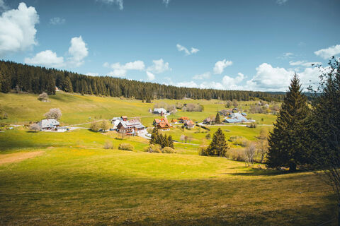 Aussicht vom Hirtenpfad