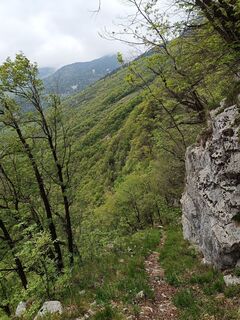 Foto de Raftandroll Hungary a lo largo del recorrido