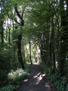 Siebengebirge