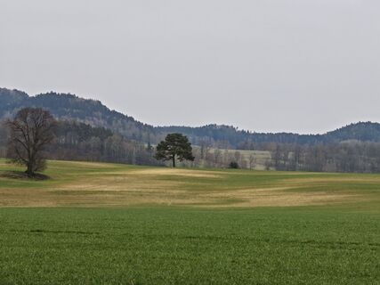 Foto von Jittus22 entlang der Tour