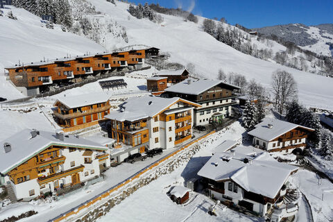 Chalets - Appartements Saalbach-Hinterglemm