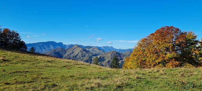 Photo de Afa le long du parcours