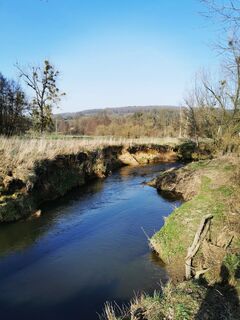 Fotografia z Chris Schöbben na trase