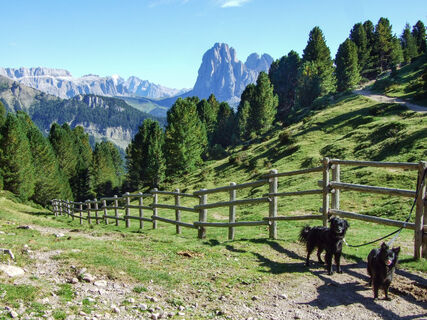 Foto från Karl-Heinz Walsdorf under resans gång