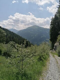 Foto von Dragoljub Ilic entlang der Tour