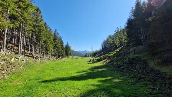 Fotografija s spletne strani EP87 na poti