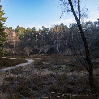 Wanderweg durch die Heide