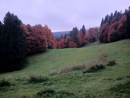 Foto de simone ravasi a lo largo del recorrido