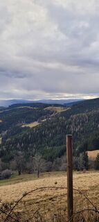 Fotografia z passiflora71 na trase