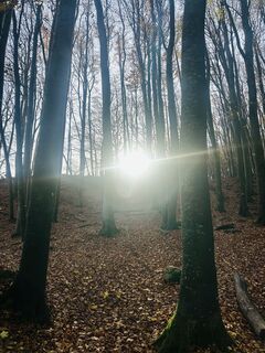 Foto de Jan Hoinkis 1 a lo largo del recorrido