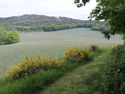 Blick auf den Czorneboh