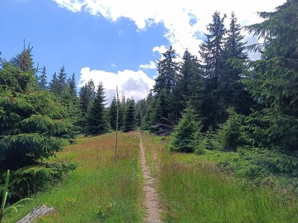 Foto de Žaneta Schelling a lo largo del recorrido