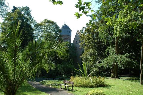 Botanischer Garten
