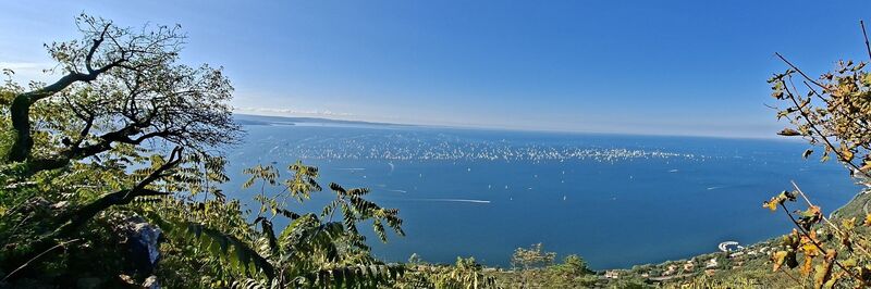 Fotografia z Bob Moh na trase