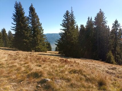 Foto von Harald Bäck entlang der Tour