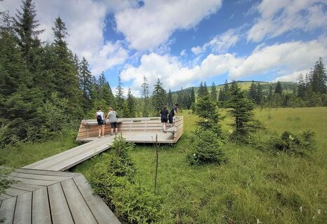 Moorlehrpfad Teichalm, Naturpark Almenland in der Oststeiermark