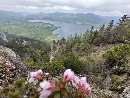 Foto von Dani Geiger / Natur_erleben_dg entlang der Tour