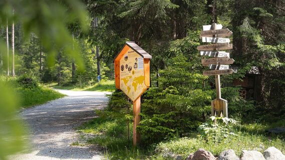 Wegweiser am Bienenlehrpfad
