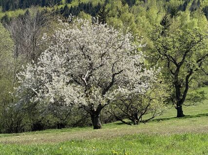 Foto von Wolfgang Geyer entlang der Tour