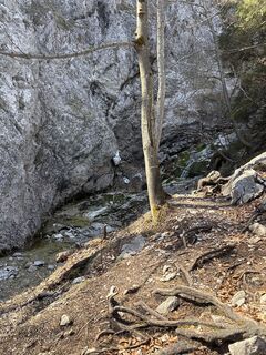 Foto de Isabella Voscak a lo largo del recorrido