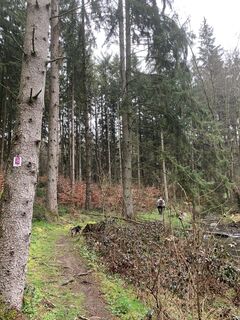 Photo from vieletausendkilometer along the tour