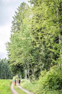 WandererAichhaldenSchwarzwald_hoch