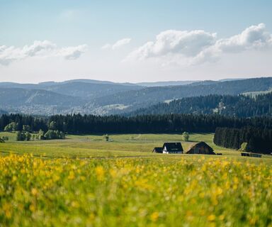 Ausblick vom Schanzenhäusle