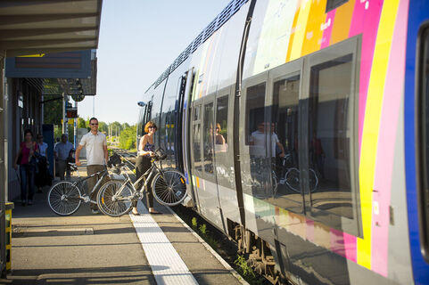 Weinberg-Radweg Elsass - Bahnhof Obernai