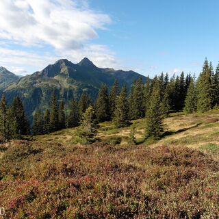 Auf dem Weg zum Muttjöchle