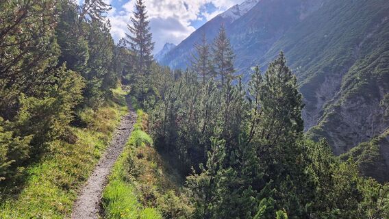 Toller Weg ins wilde Tal des Beferwaldbaches