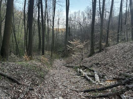 Foto von Reti Alicia entlang der Tour