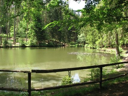 Komstkochteich