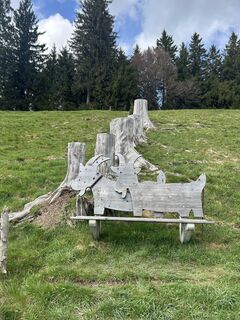 Fotografia z Siri na trase