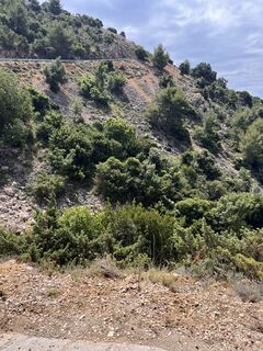 Foto från Direktbetke under resans gång