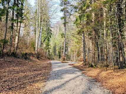 Foto von Michi Steiert entlang der Tour
