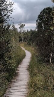 Photo de Marco Weiß le long du parcours