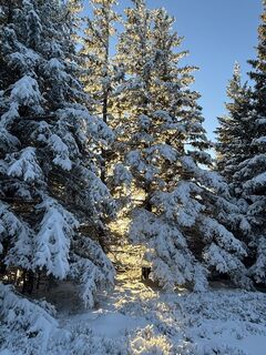 Fotografia z Georgiamartin0815 na trase