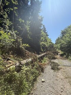 Fotografia z Passport1405 na trase