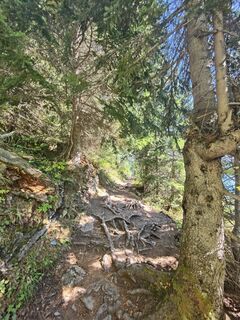 Photo de Darius Amarapura le long du parcours