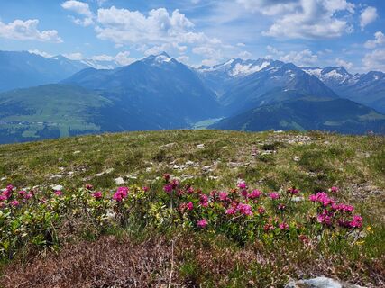 Photo de Eva Maria Groß le long du parcours